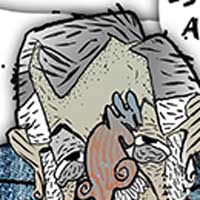 Mostrar el cartón
