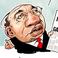 Mostrar el cartón