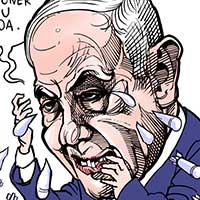 Mostrar el cartón