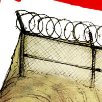 Mostrar el cartón