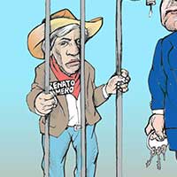 Mostrar el cartón