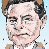 Mostrar el cartón