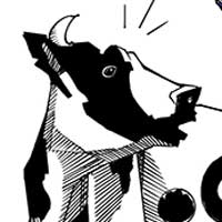 Mostrar el cartón