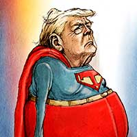 Mostrar el cartón