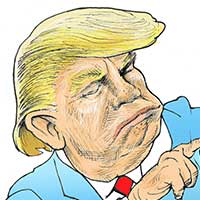 Mostrar el cartón