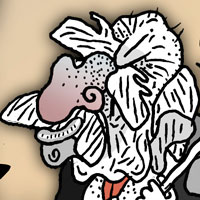 Mostrar el cartón