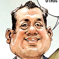 Mostrar el cartón