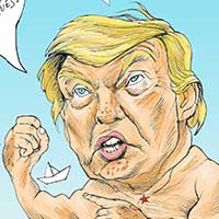 Mostrar el cartón