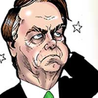 Mostrar el cartón