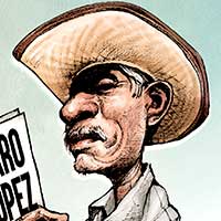 Mostrar el cartón