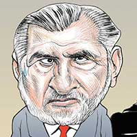 Mostrar el cartón