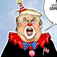 Mostrar el cartón