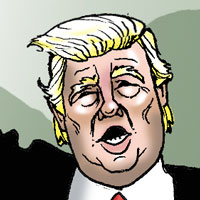 Mostrar el cartón