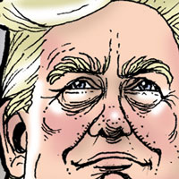 Mostrar el cartón