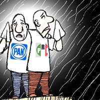 Mostrar el cartón