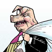 Mostrar el cartón